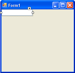 VB NET Form with One TextBox