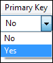 Setting a Primary Key