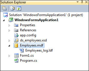 Solution Explorer showing a database added to a project