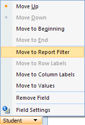 Click on Move to Report Filter