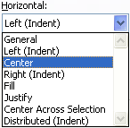 Horizontal alignment in Excel 2007