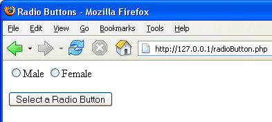 html radio button example