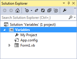 The Solution Explorer showing the name of the project