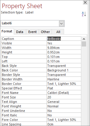 The Property Sheet with the Caption item highlighted