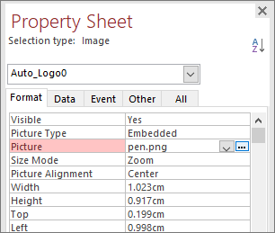 The Picture property highlighted in the Property Sheet