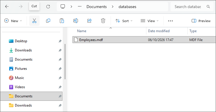 Browsing for the Employees database