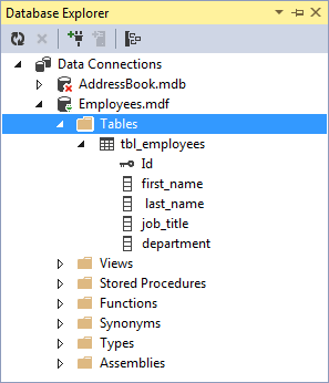 Database Explorer showing the table in Visual Studio 2013