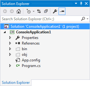 Console Application showing in Solution Explorer