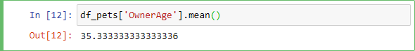 Jupyter Notebook showing the result of the Pandas mean function.