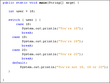 Code demonstrating a Java switch statement