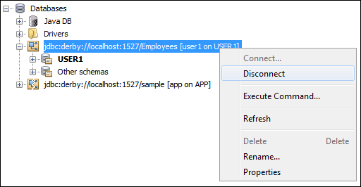 Disconnecting from your  Java DB database