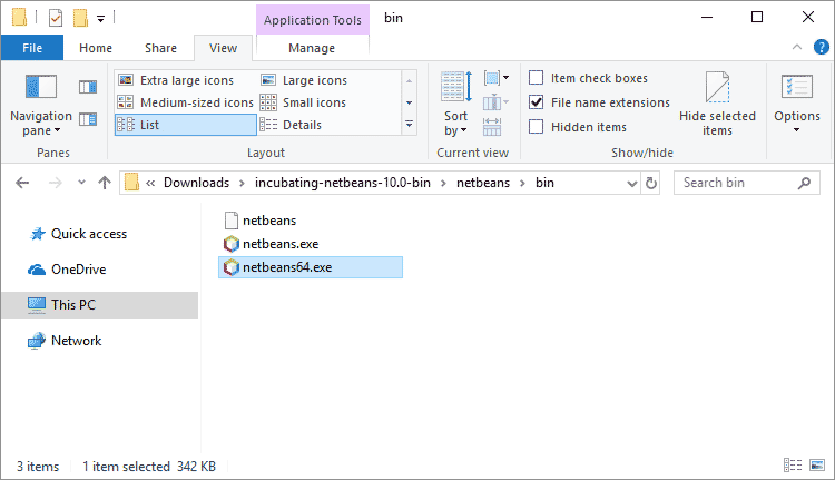 Inside the netbeans bin folder