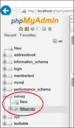 The survey database displayed in phpMyAdmin