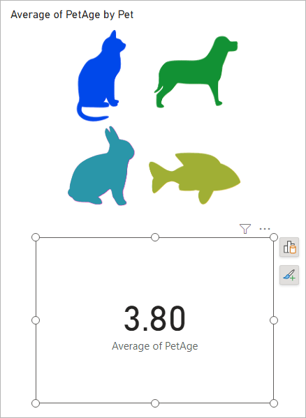 An image slicer and a card visual in Power BI.